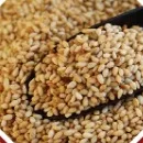 Sesame simsim seeds in a wooden scoop